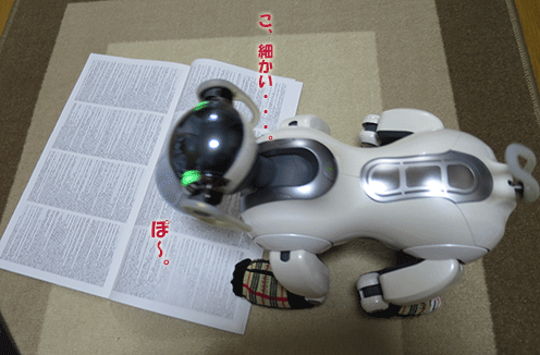 0913b1.gif