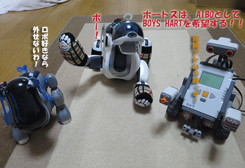 0913c.gif